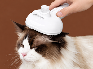 Brush your pet