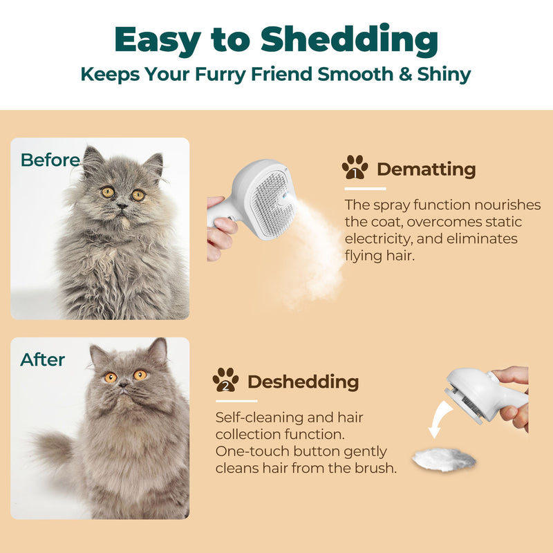 Vet-reviewed & safe